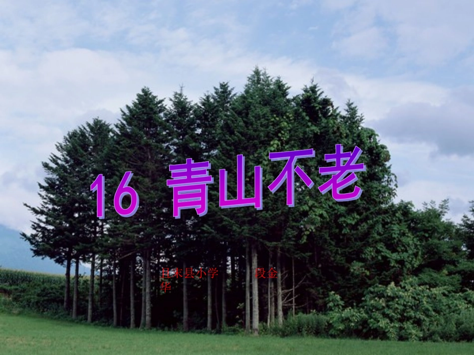 《青山不老》教学课件1_第1页