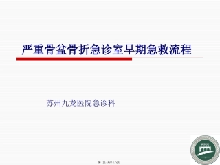 严重骨盆骨折急救流程1汇编