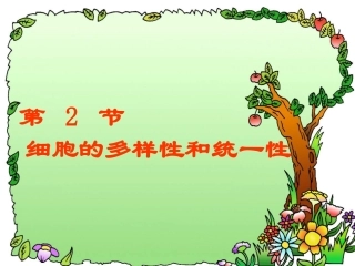 细胞的统一性和多样性12