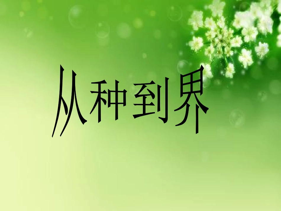 《从种到界》课件3_第1页