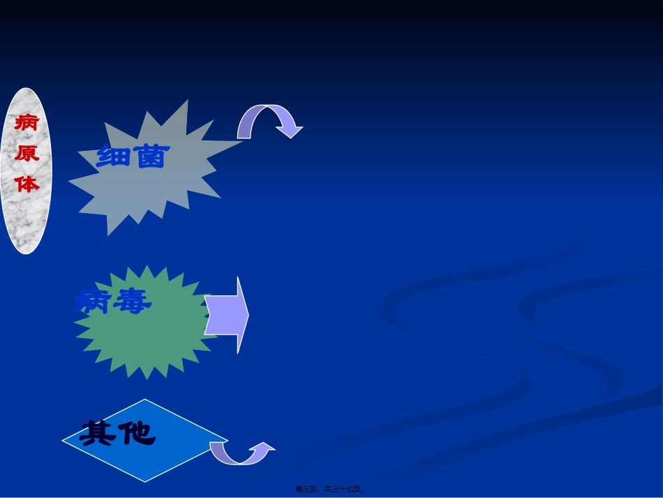 临-床-医-学-概-论.肺炎_第3页
