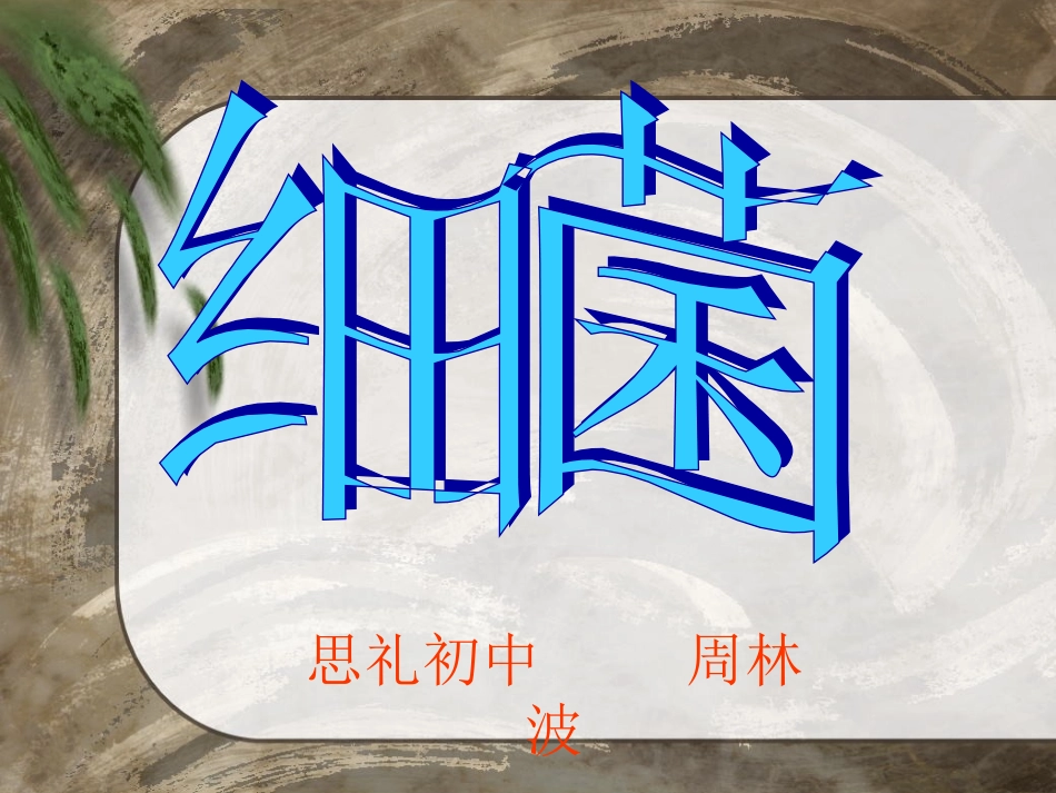 《细菌》课件_第1页