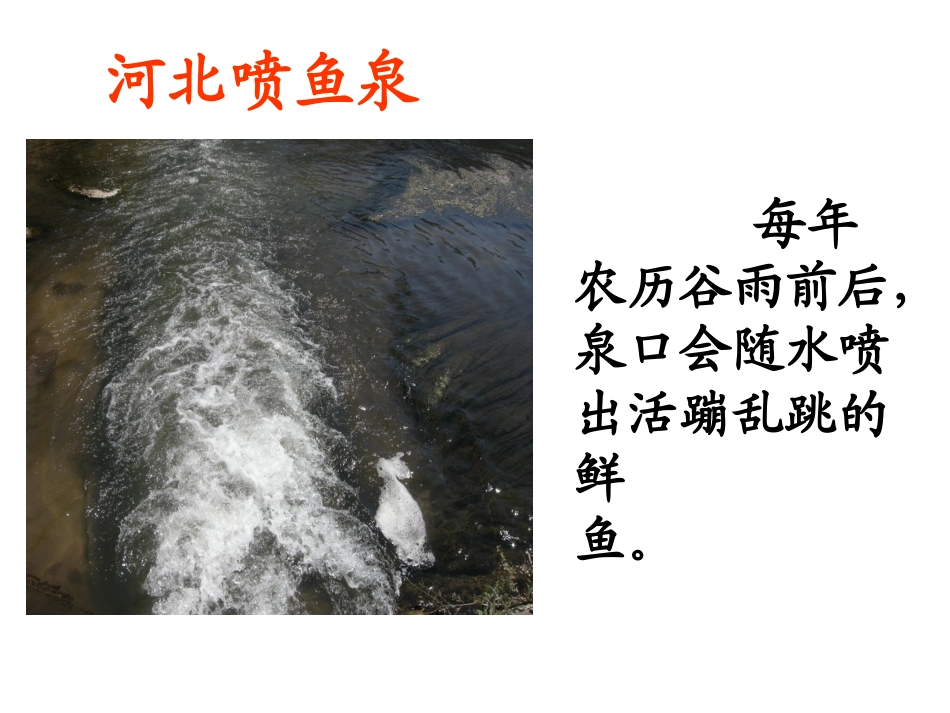 珍珠泉最后版_第3页