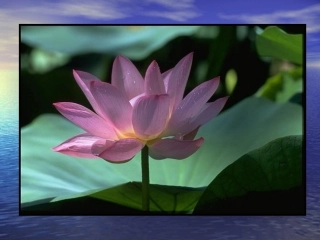 新人教A版必修一132函数的奇偶性