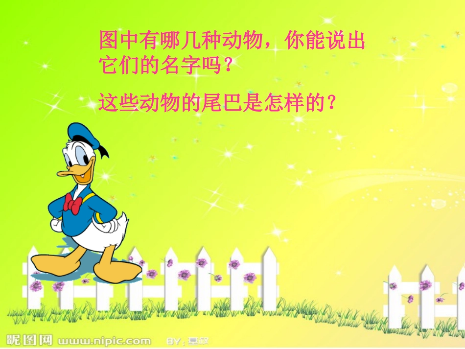 一年级语文《比尾巴》课件_第3页