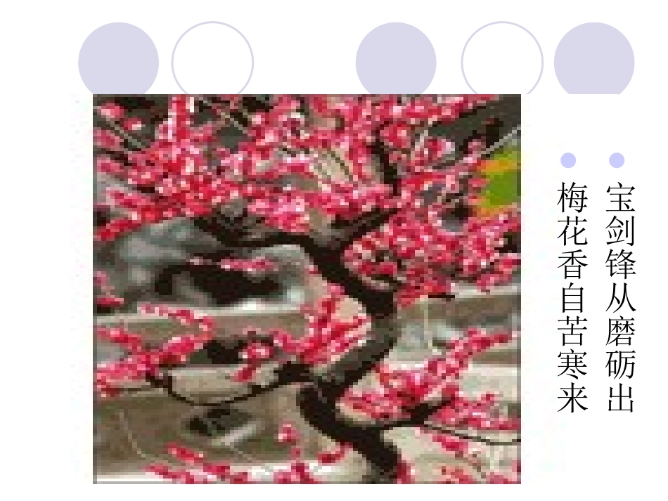 坚强意志是成功的保证_第3页