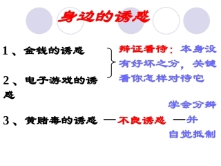 对不良诱惑说不