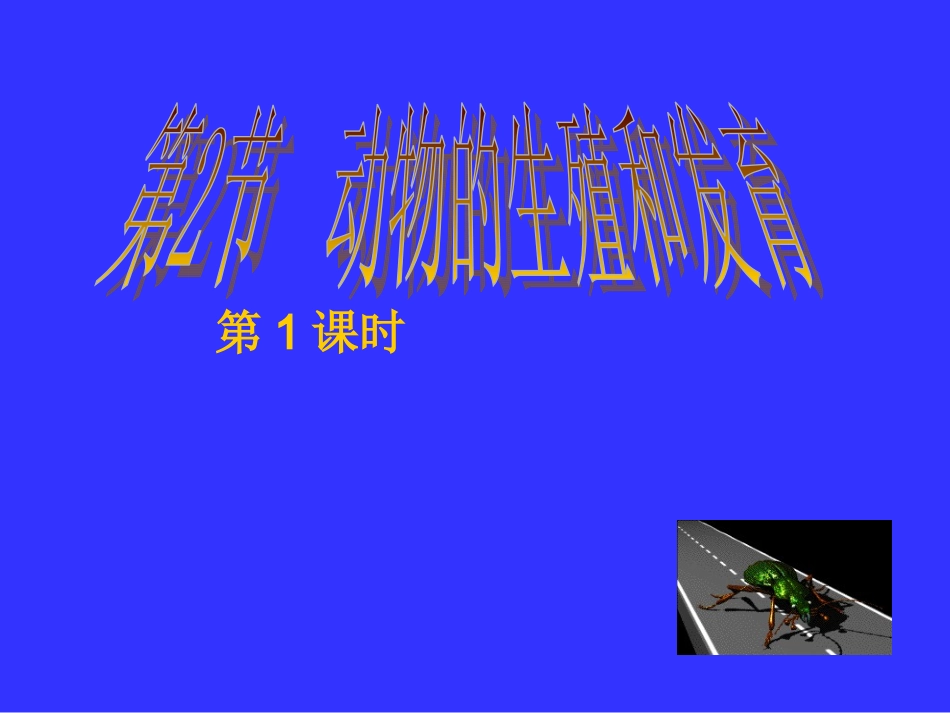昆虫的生殖和发育课堂_第1页