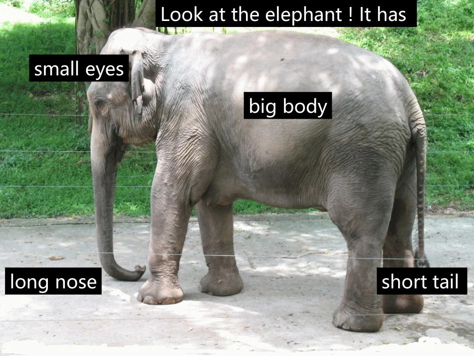 人教版pep（2012教材）小学三下Unit3AtthezooPeriodFour课件_第3页