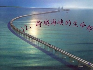 公开课跨越海峡的生命桥