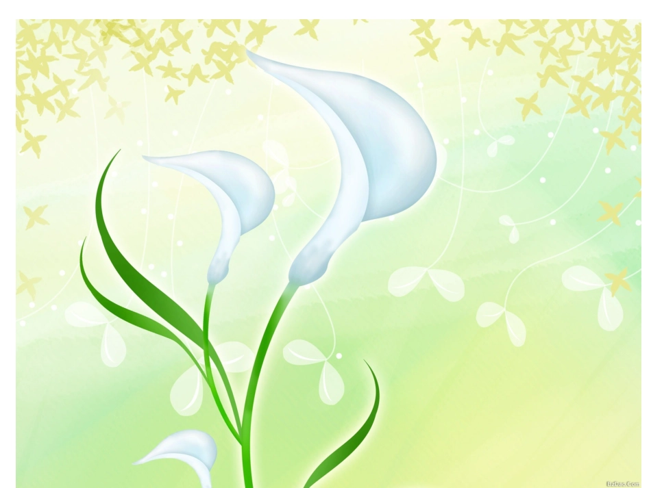 漂亮的模板大全_第2页