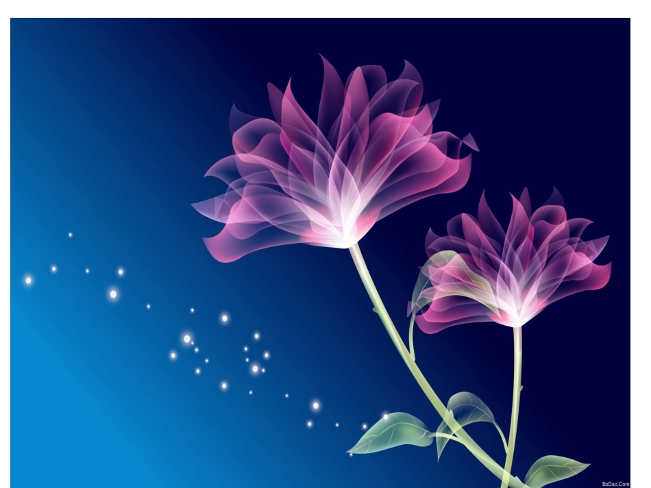 漂亮的模板大全_第3页