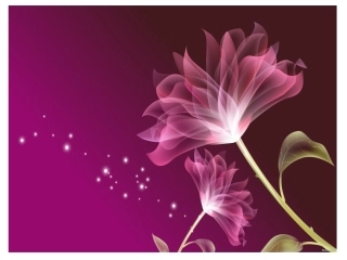 漂亮的模板大全