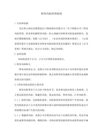 (风险管理)财务风险管理制度
