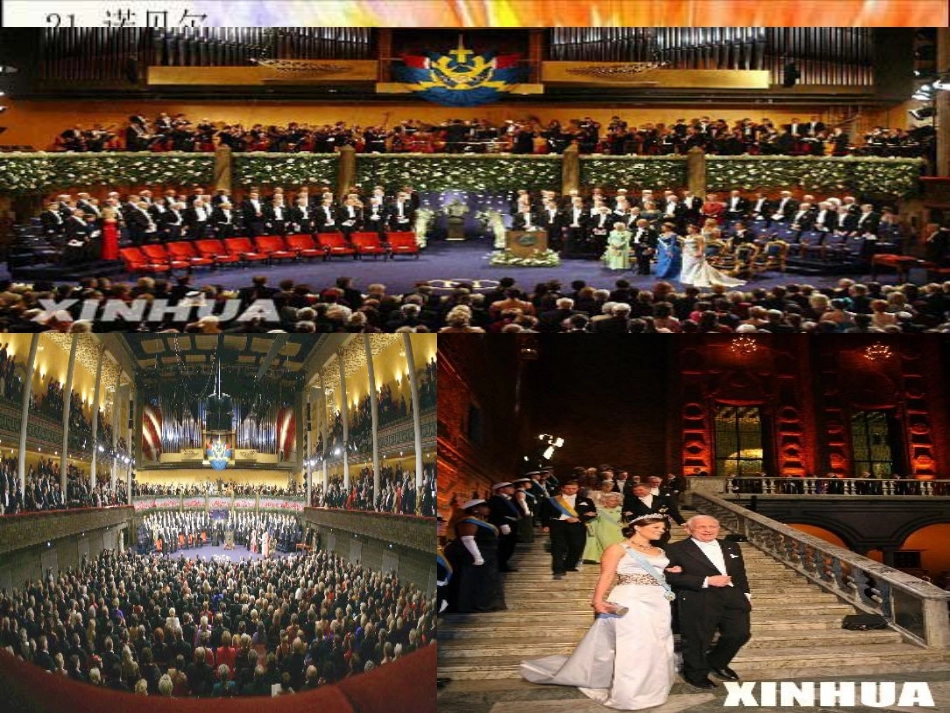 诺贝尔诺贝尔五年级语文_第3页