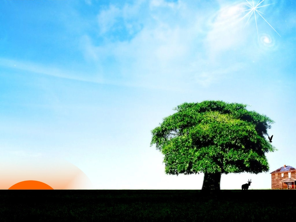 太阳升起动态PPT模板_第1页