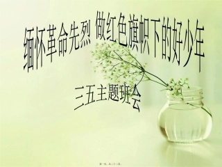 -缅怀祭奠革命先烈主题班会三五