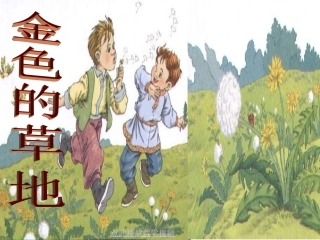 《金色的草地》_第二课时