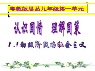 初级阶段的社会主义