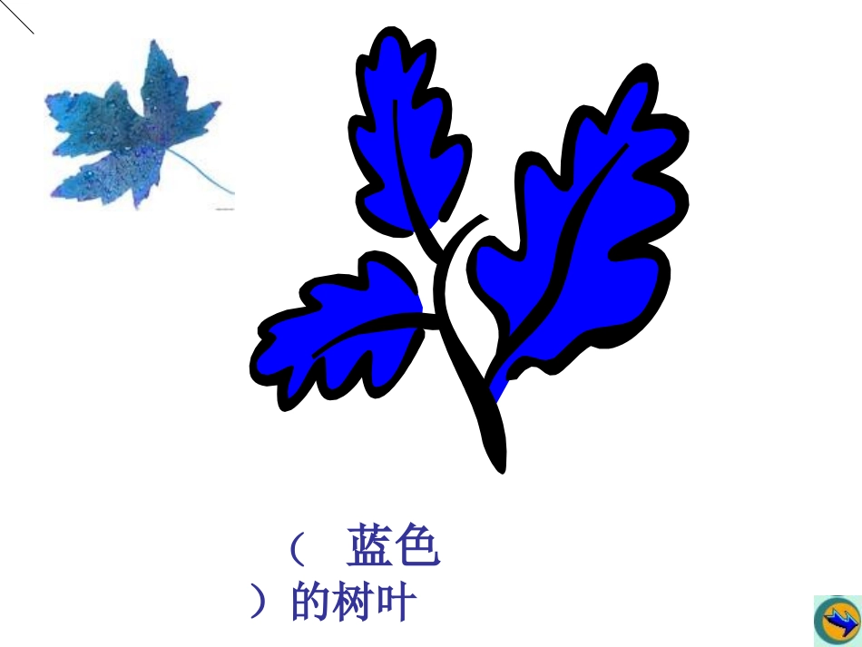 蓝色的树叶黄文英_第2页