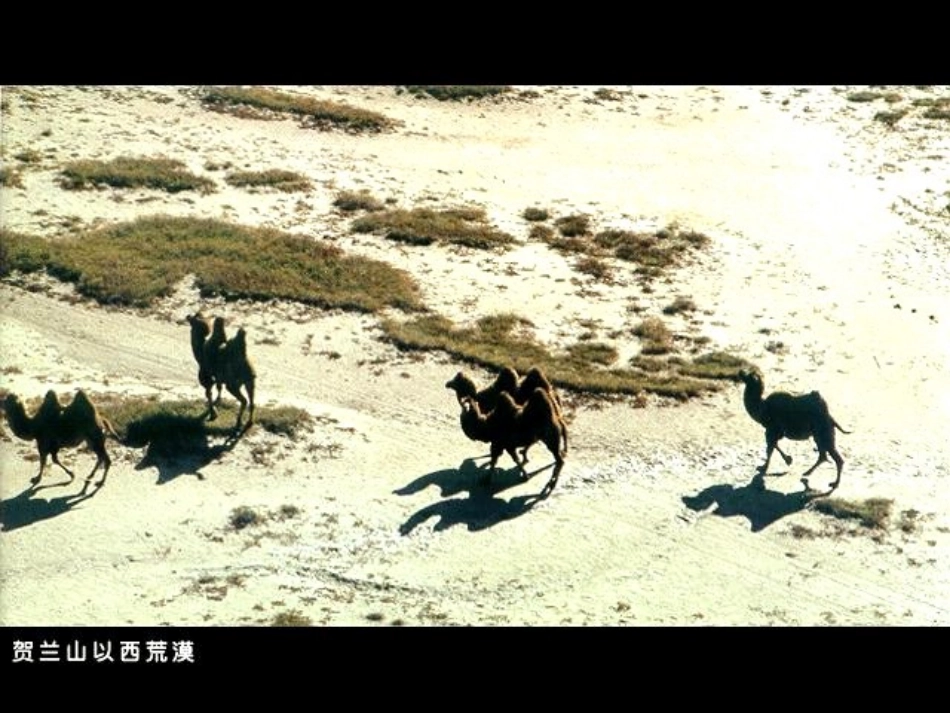 人教版必修321（共49张PPT）_第3页