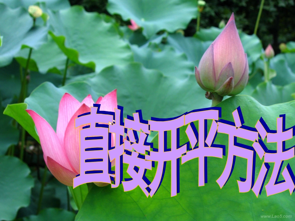 直接开平方法_第1页
