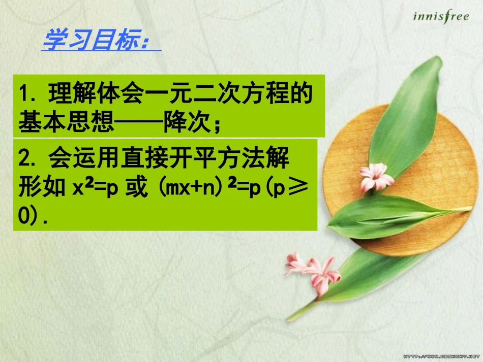 直接开平方法_第2页