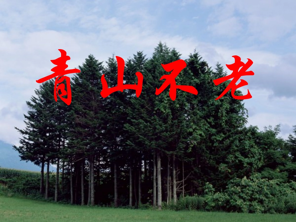 青山不老 (3)_第1页
