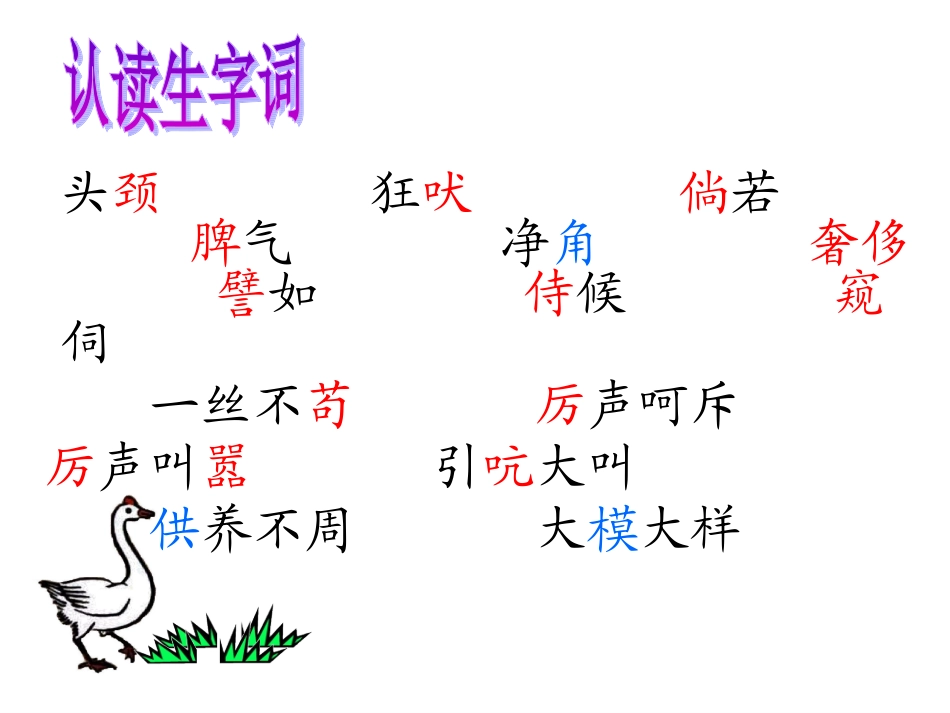 白鹅教学课件_第3页