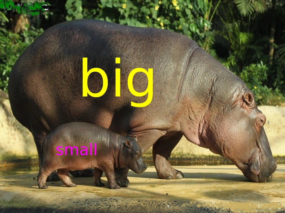 人教版pep（2012教材）小学三下Unit3AtthezooPeriodFive课件_第3页