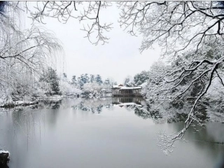湖心亭看雪 (3)