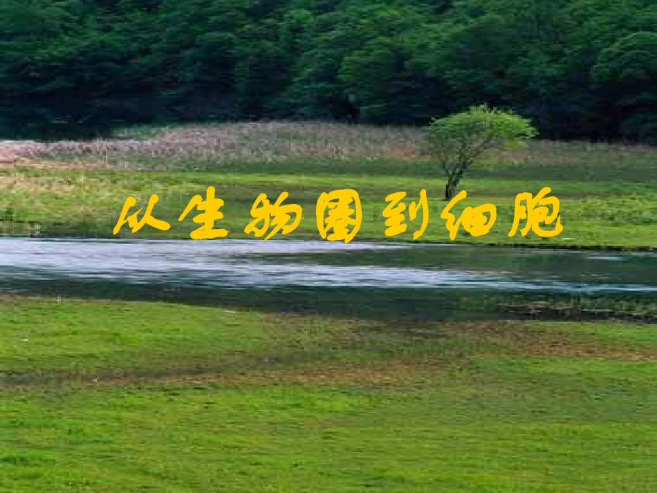 从生物圈到细胞11_第1页