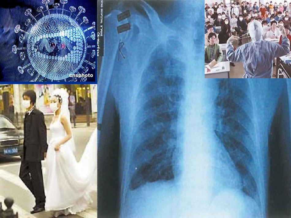 从生物圈到细胞11_第2页