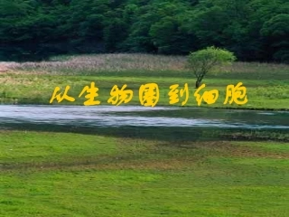 从生物圈到细胞11