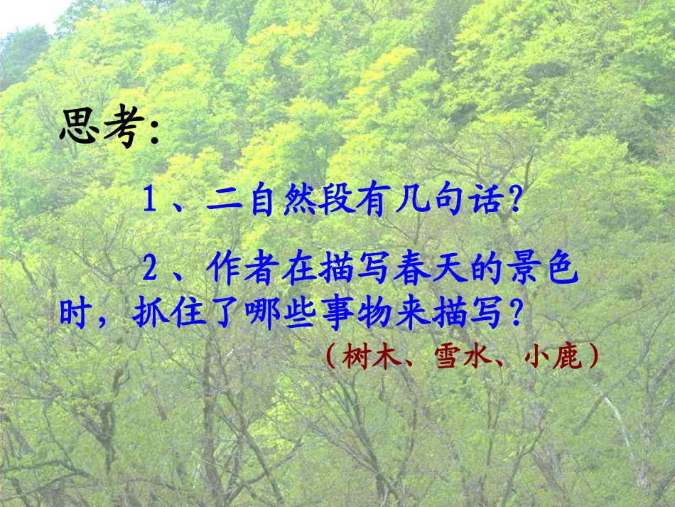 美丽的小兴安岭 (7)_第3页