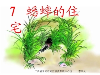 《蟋蟀的住宅》第二课时教学课件