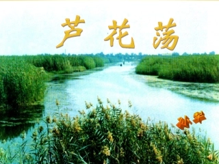 八上第二课芦花荡