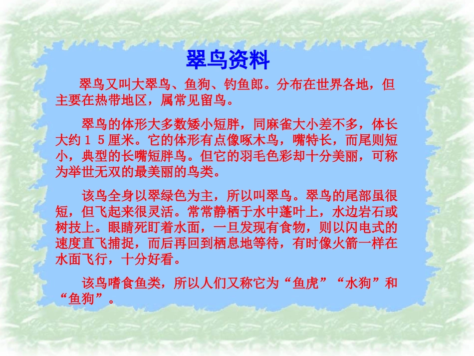 《翠鸟》课件_第3页