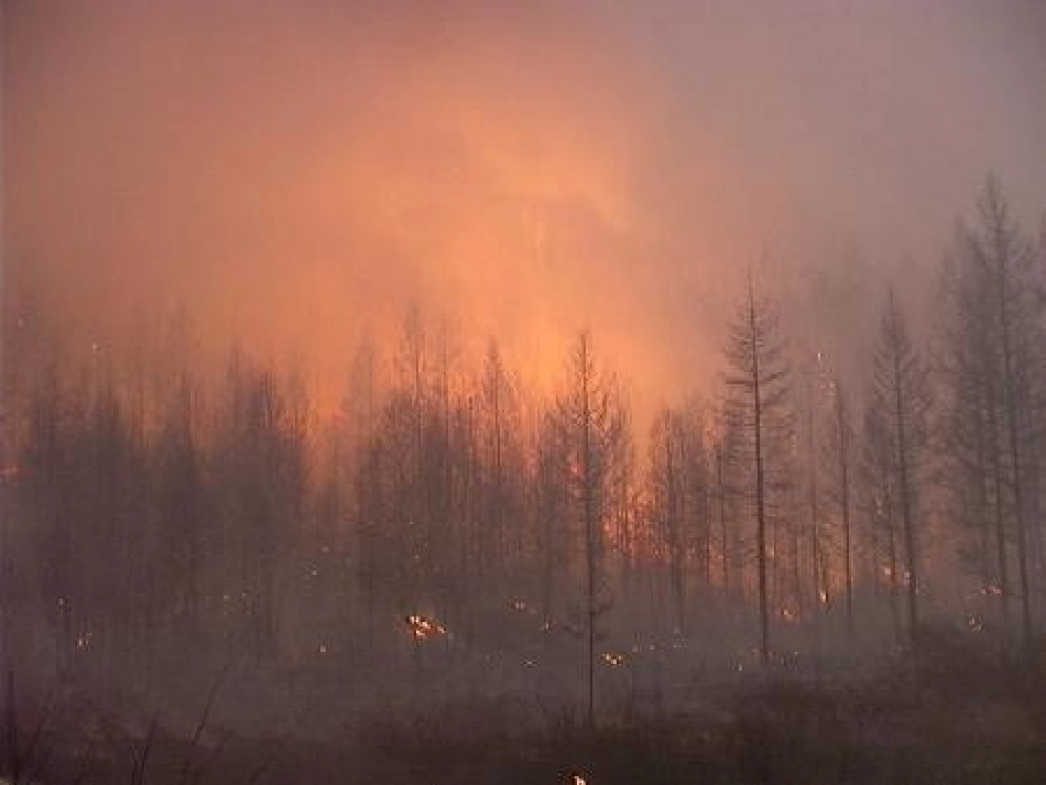 防火安全教育PPT_第2页