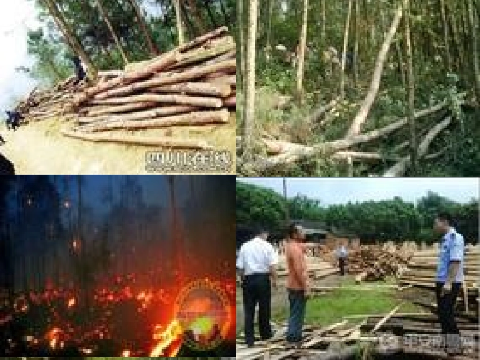 新_实施可持续发展战略_第3页