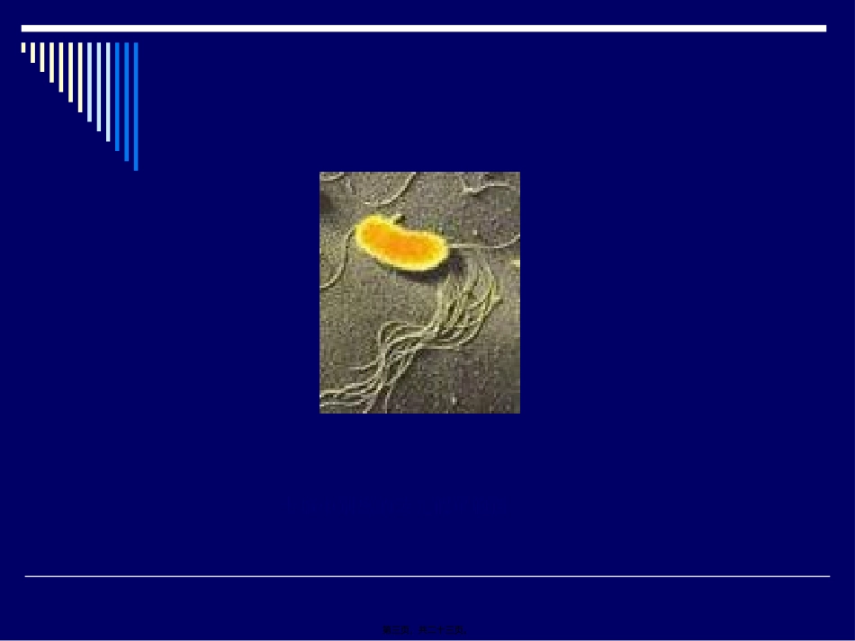 七、食品中常见的细菌_第3页