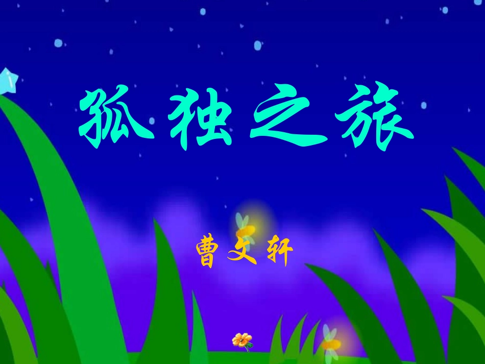 孤独之旅——陈丽2_第2页