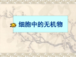 细胞中的无机物