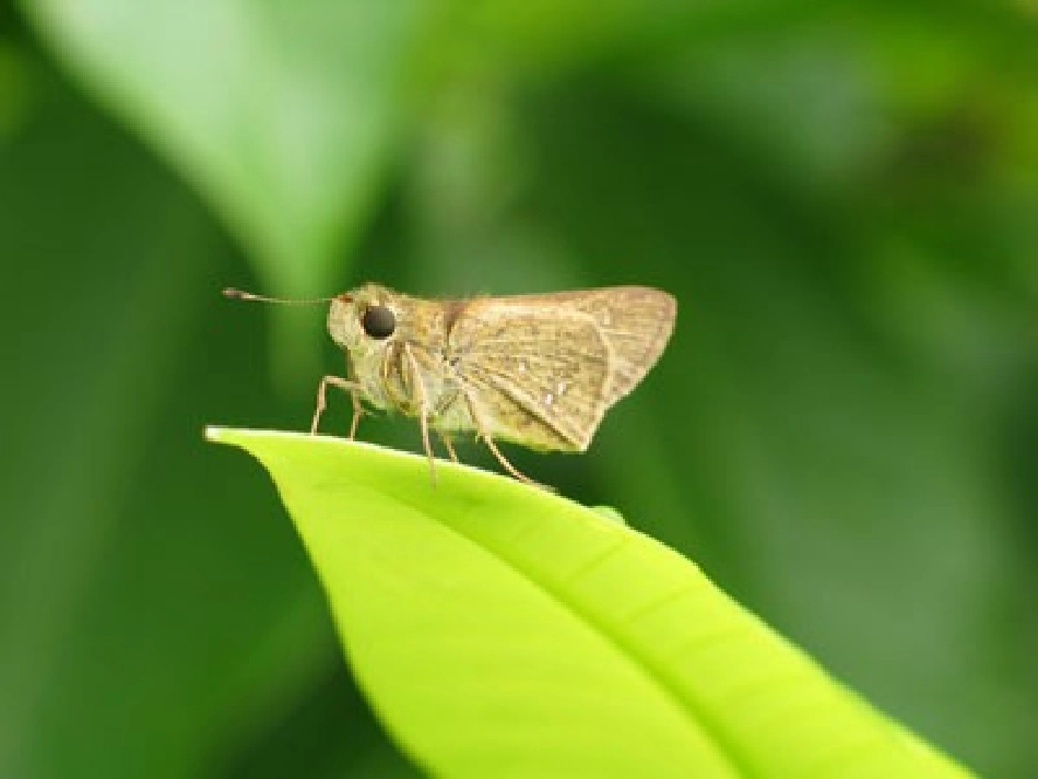 生命生命课件_第3页