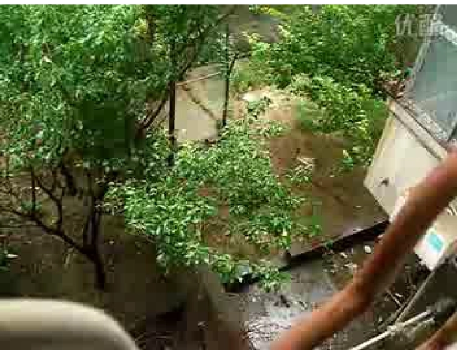 《母鸡》课件_第2页