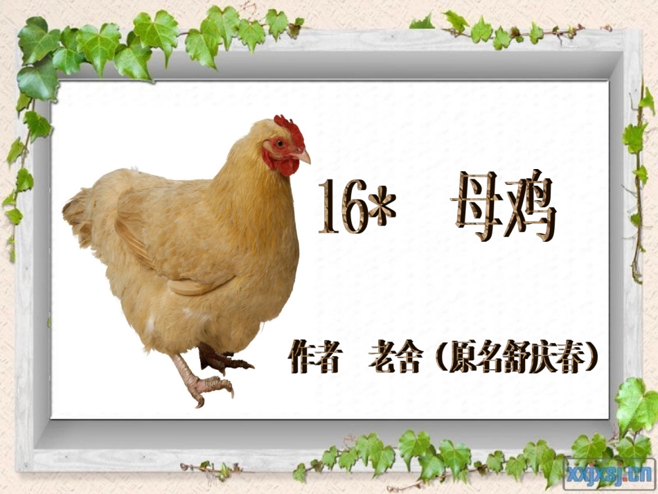 《母鸡》课件_第3页