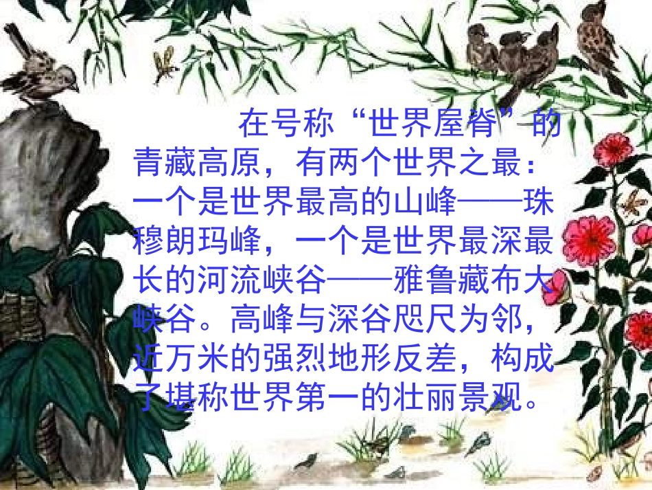 雅鲁藏布大峡谷(钟优)_第2页