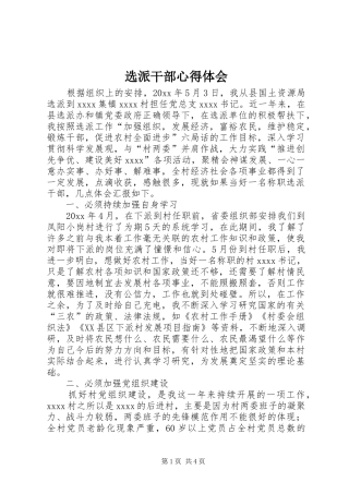 选派干部心得体会