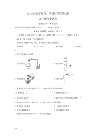 2023深圳市南山外国语学校中考初三一模化学试题及答案 
