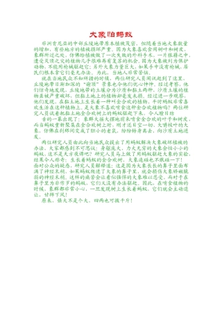 大象怕蚂蚁文档
